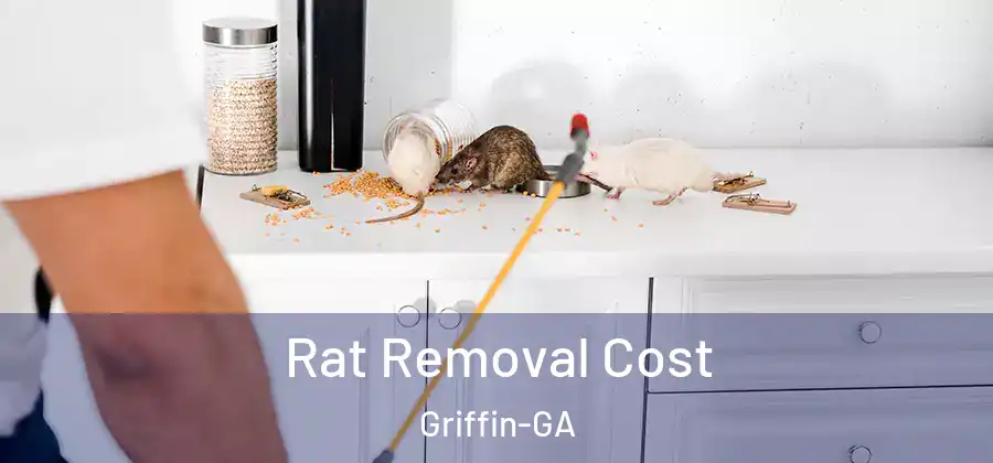 Rat Removal Cost Griffin-GA