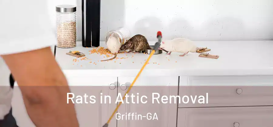 Rats in Attic Removal Griffin-GA