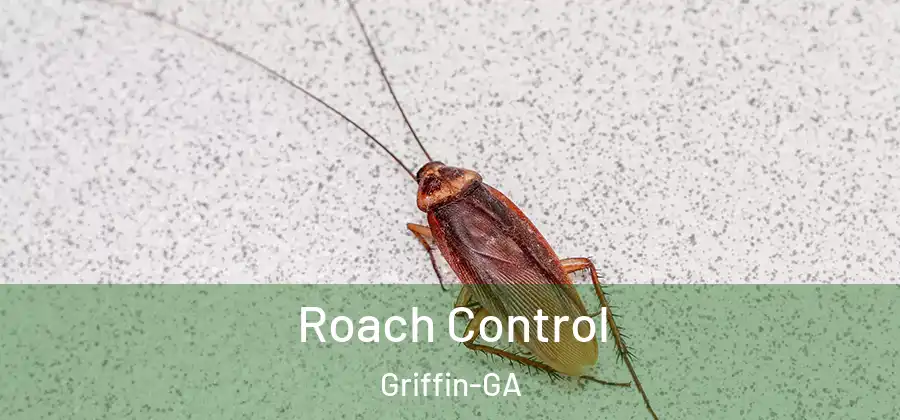 Roach Control Griffin-GA