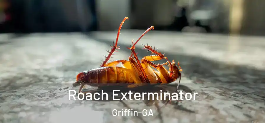 Roach Exterminator Griffin-GA