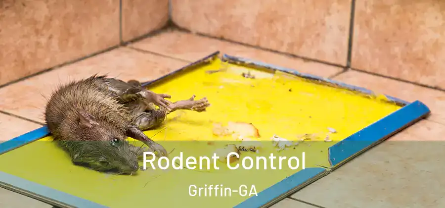 Rodent Control Griffin-GA