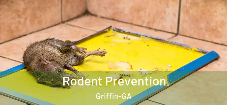 Rodent Prevention Griffin-GA