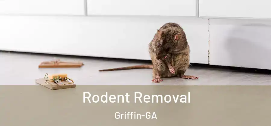 Rodent Removal Griffin-GA
