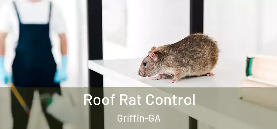 Roof Rat Control Griffin-GA