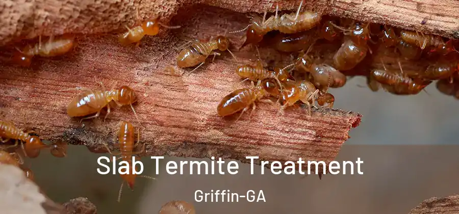Slab Termite Treatment Griffin-GA