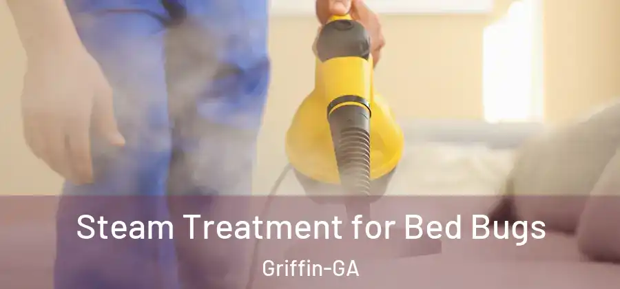 Steam Treatment for Bed Bugs Griffin-GA