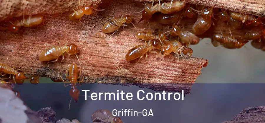 Termite Control Griffin-GA
