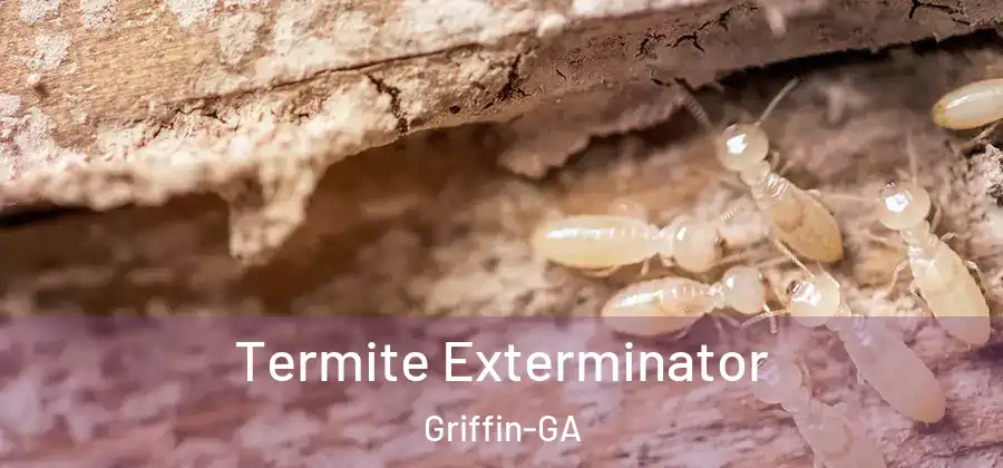 Termite Exterminator Griffin-GA