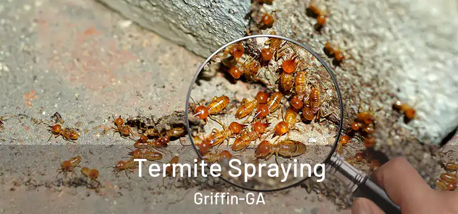 Termite Spraying Griffin-GA