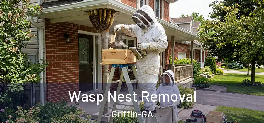 Wasp Nest Removal Griffin-GA