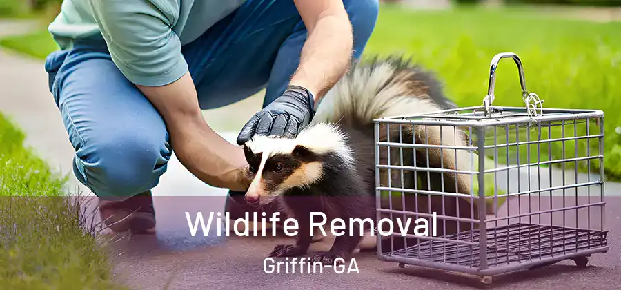 Wildlife Removal Griffin-GA