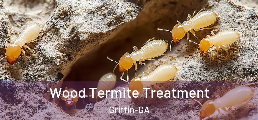 Wood Termite Treatment Griffin-GA